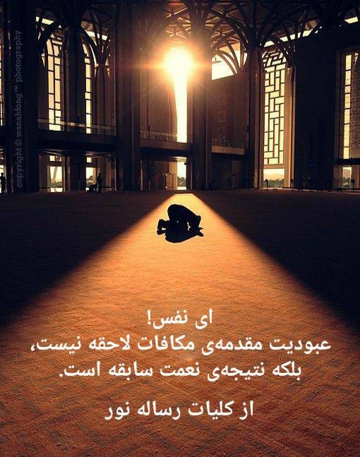 Resim 6